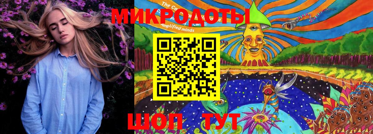 Галлюциногенные грибы GOLDEN TEACHER  наркотики  Комсомольск-на-Амуре  Вход с VPN 