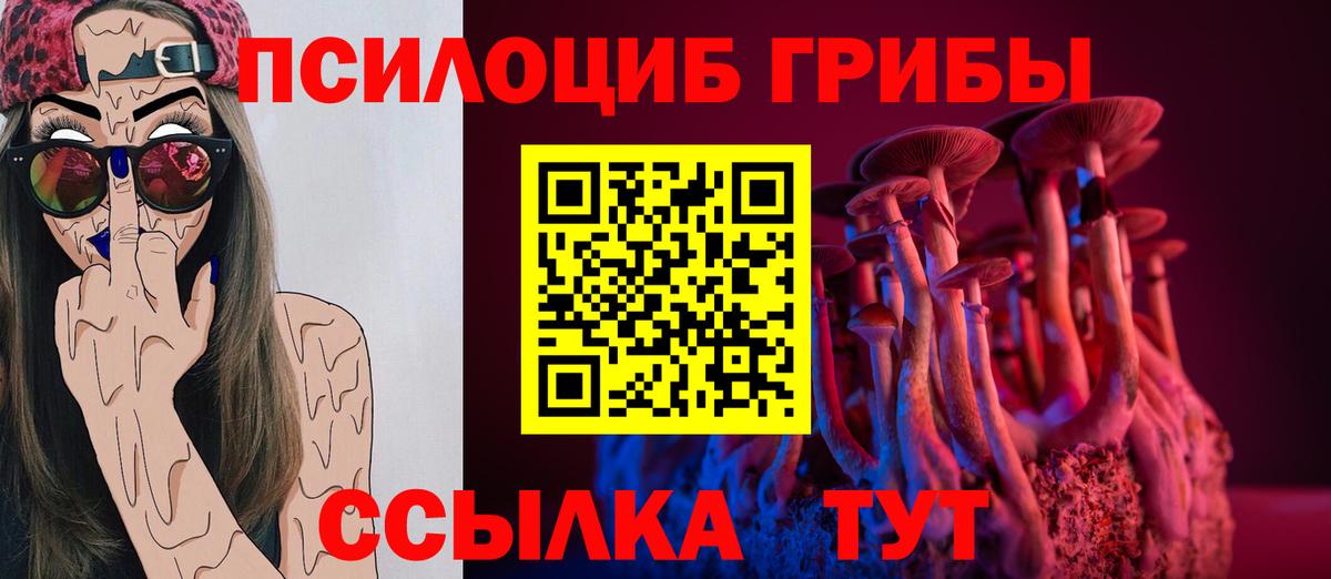 Псилоцибиновые грибы Psilocybe Комсомольск-на-Амуре